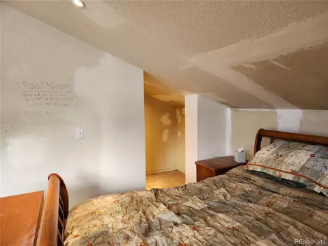 760 N Pine Dr, Bailey, CO 80421 photo 26