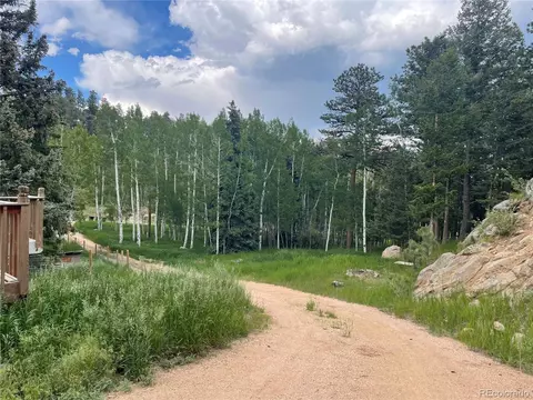 760 N Pine Dr, Bailey, CO 80421 photo 33