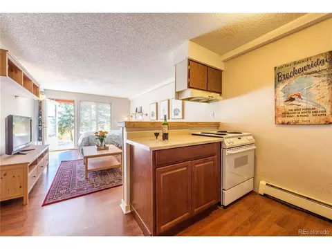 Undisclosed, Silverthorne, CO 80498 photo 15