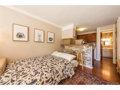 Undisclosed, Silverthorne, CO 80498 photo 9