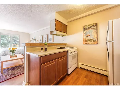 Undisclosed, Silverthorne, CO 80498 photo 13