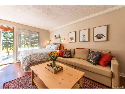 Undisclosed, Silverthorne, CO 80498 photo 5