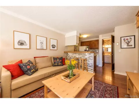 Undisclosed, Silverthorne, CO 80498 photo 6