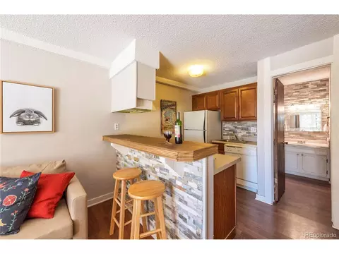 Undisclosed, Silverthorne, CO 80498 photo 11
