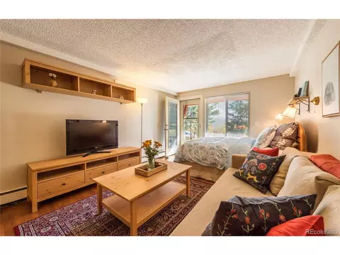 Undisclosed, Silverthorne, CO 80498 photo 7