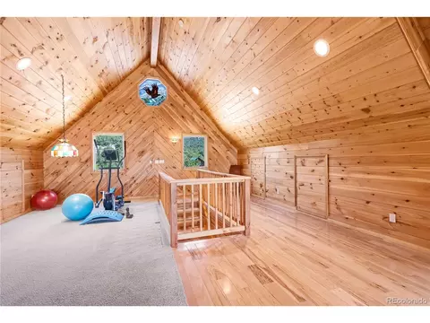 1135 Ogden Loop, Howard, CO 81233 photo 35