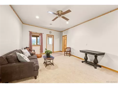 1135 Ogden Loop, Howard, CO 81233 photo 43