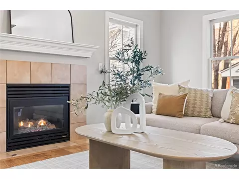 Living - 7859 E 28th Pl, Denver, CO 80238 photo 5 of 6