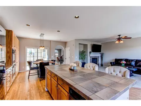 4624 Trailside Loop, Castle Rock, CO 80109 photo 18