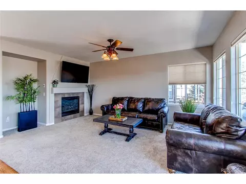 4624 Trailside Loop, Castle Rock, CO 80109 photo 13