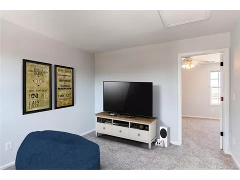 4624 Trailside Loop, Castle Rock, CO 80109 photo 29
