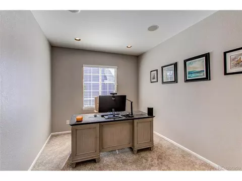 4624 Trailside Loop, Castle Rock, CO 80109 photo 10
