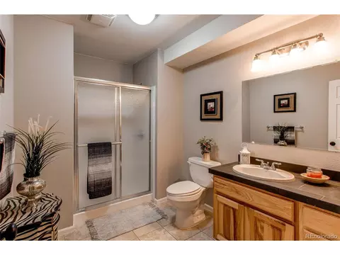 4624 Trailside Loop, Castle Rock, CO 80109 photo 45