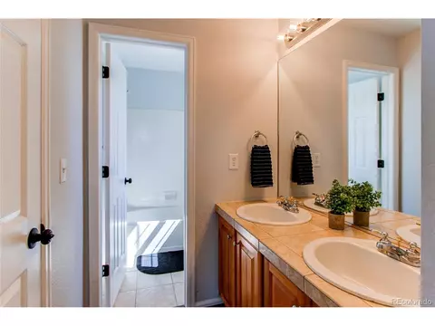 4624 Trailside Loop, Castle Rock, CO 80109 photo 32