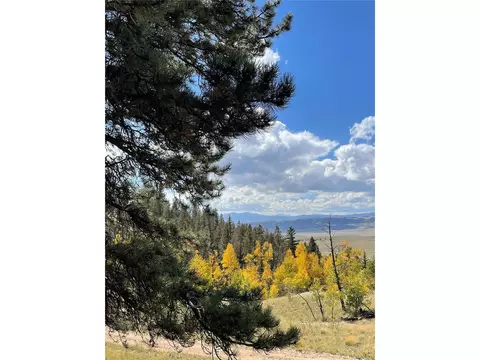 1311 Caracara Ln, Como, CO 80432 photo 10
