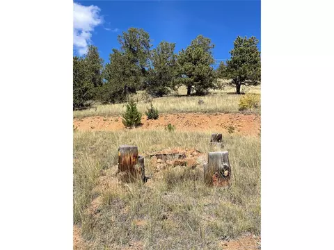 1311 Caracara Ln, Como, CO 80432 photo 18