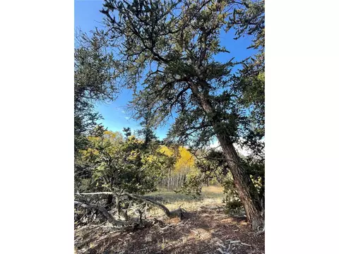 1311 Caracara Ln, Como, CO 80432 photo 11