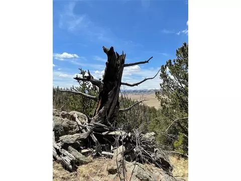 1311 Caracara Ln, Como, CO 80432 photo 17