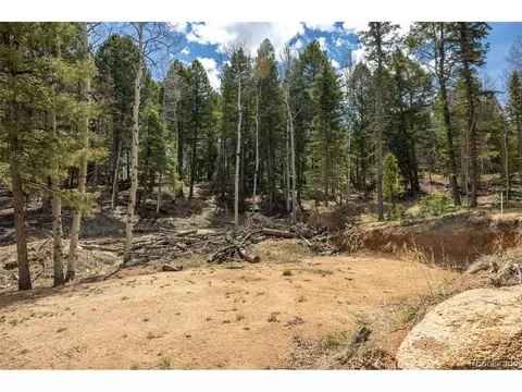 714 Will Stutley Dr, Divide, CO 80814 photo 28
