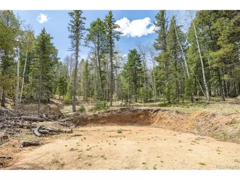 714 Will Stutley Dr, Divide, CO 80814 photo 5