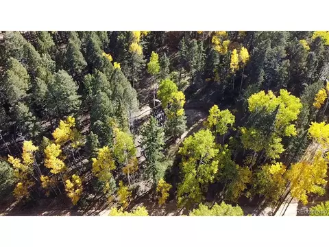 714 Will Stutley Dr, Divide, CO 80814 photo 3