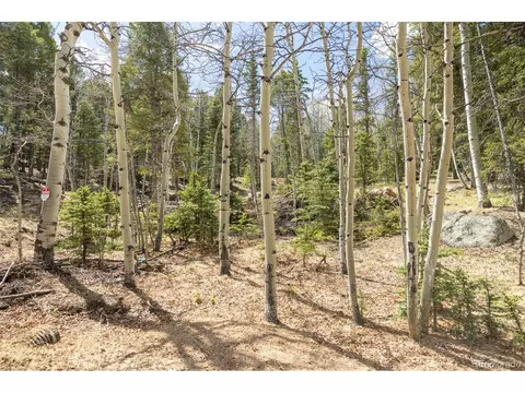 714 Will Stutley Dr, Divide, CO 80814 photo 2