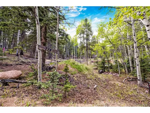 714 Will Stutley Dr, Divide, CO 80814