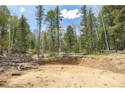 714 Will Stutley Dr, Divide, CO 80814 photo 26