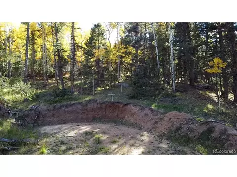 714 Will Stutley Dr, Divide, CO 80814 photo 9