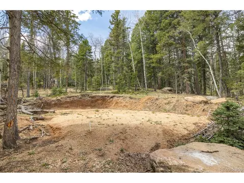 714 Will Stutley Dr, Divide, CO 80814 photo 4