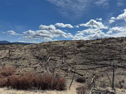 34 Th Trl, Cotopaxi, CO 81223 photo 10