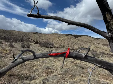 34 Th Trl, Cotopaxi, CO 81223 photo 20