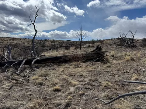 34 Th Trl, Cotopaxi, CO 81223 photo 19