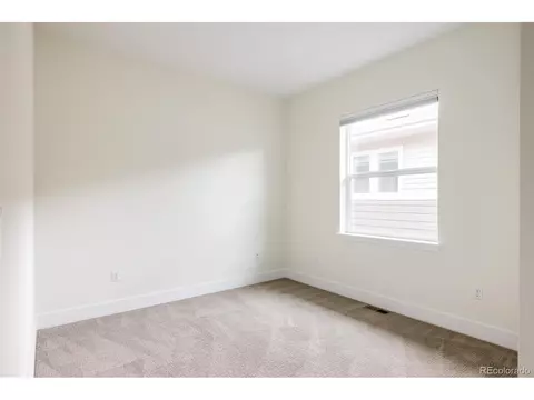 3473 Beeler St, Denver, CO 80238 photo 22