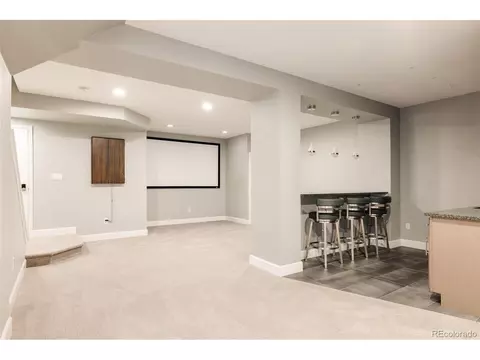 3473 Beeler St, Denver, CO 80238 photo 29