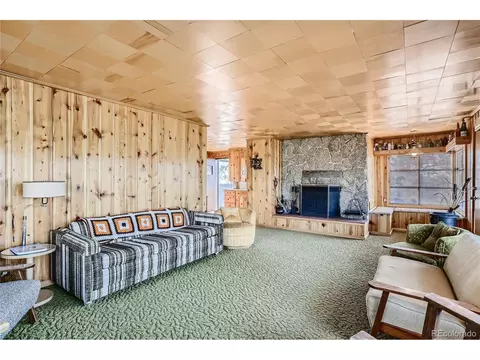 453 Road P69, Bailey, CO 80421 photo 4