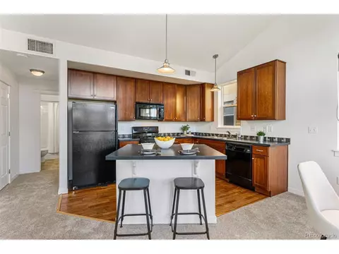 10241 E 26th Ave, Denver, CO 80238 photo 11