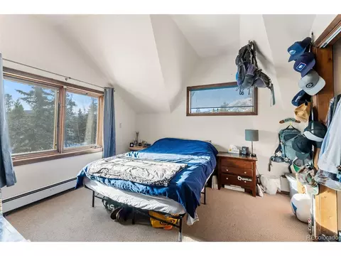656 Tanglewood Ln, Silverthorne, CO 80498 photo 23