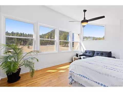 Bedroom - 1819 Nova Rd, Pine, CO 80470 photo 4 of 6