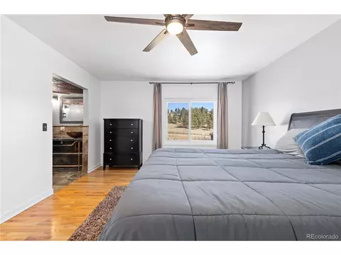 Bedroom - 1819 Nova Rd, Pine, CO 80470 photo 2 of 6