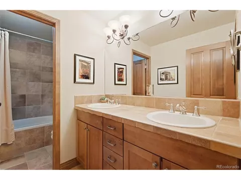 Bath - 13891 Douglass Ranch Rd, Pine, CO 80470 photo 4 of 4