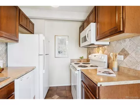 4801 E 9th Ave #402S, Denver, CO 80220 photo 14