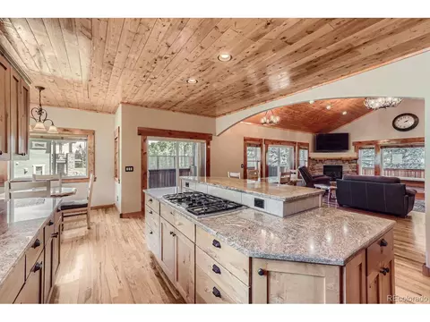 301 Pinaceae Hts, Divide, CO 80814 photo 14