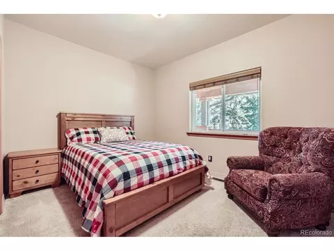 301 Pinaceae Hts, Divide, CO 80814 photo 24