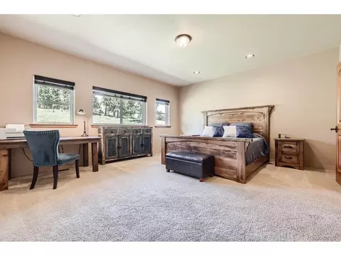 301 Pinaceae Hts, Divide, CO 80814 photo 18