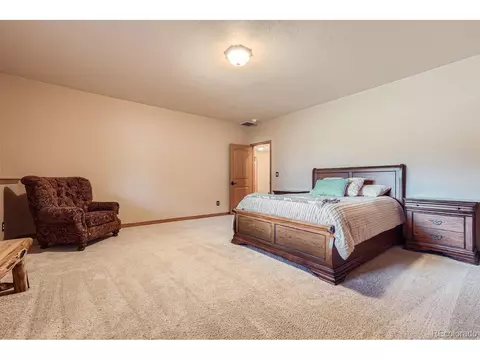 301 Pinaceae Hts, Divide, CO 80814 photo 31