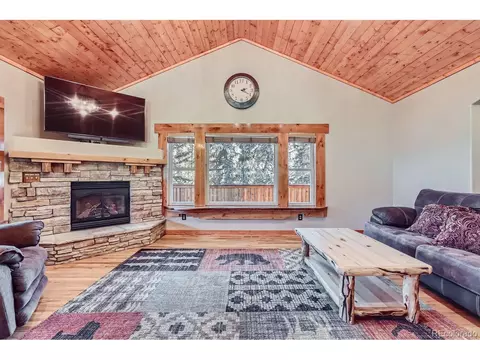301 Pinaceae Hts, Divide, CO 80814 photo 11