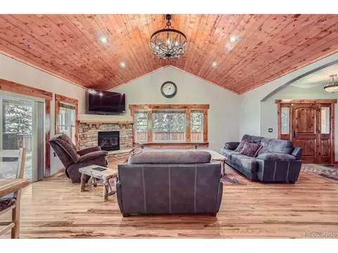 301 Pinaceae Hts, Divide, CO 80814 photo 10