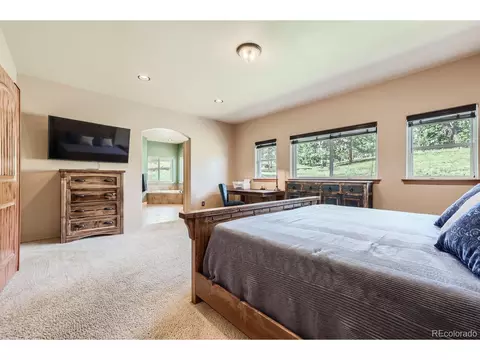 301 Pinaceae Hts, Divide, CO 80814 photo 19