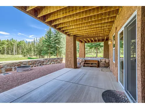 301 Pinaceae Hts, Divide, CO 80814 photo 42